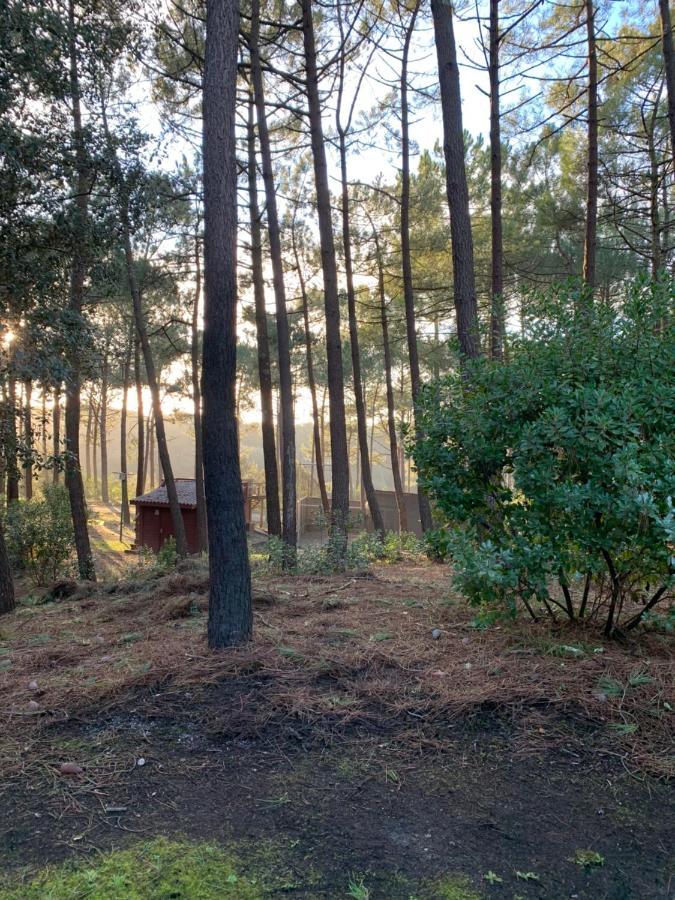 Agreable T2 Lisiere Du Golf Lacanau Ocean Exteriör bild